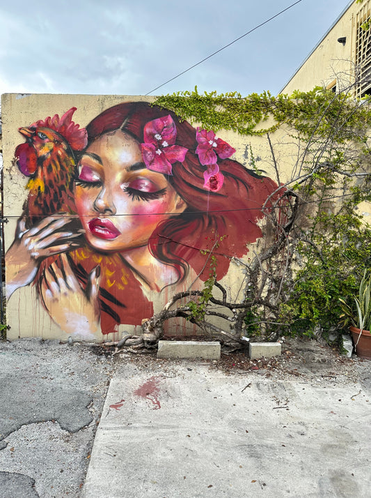 Little Havana - SQUAD SAFARI - Walking Street Art Tour - 2-9 Guests