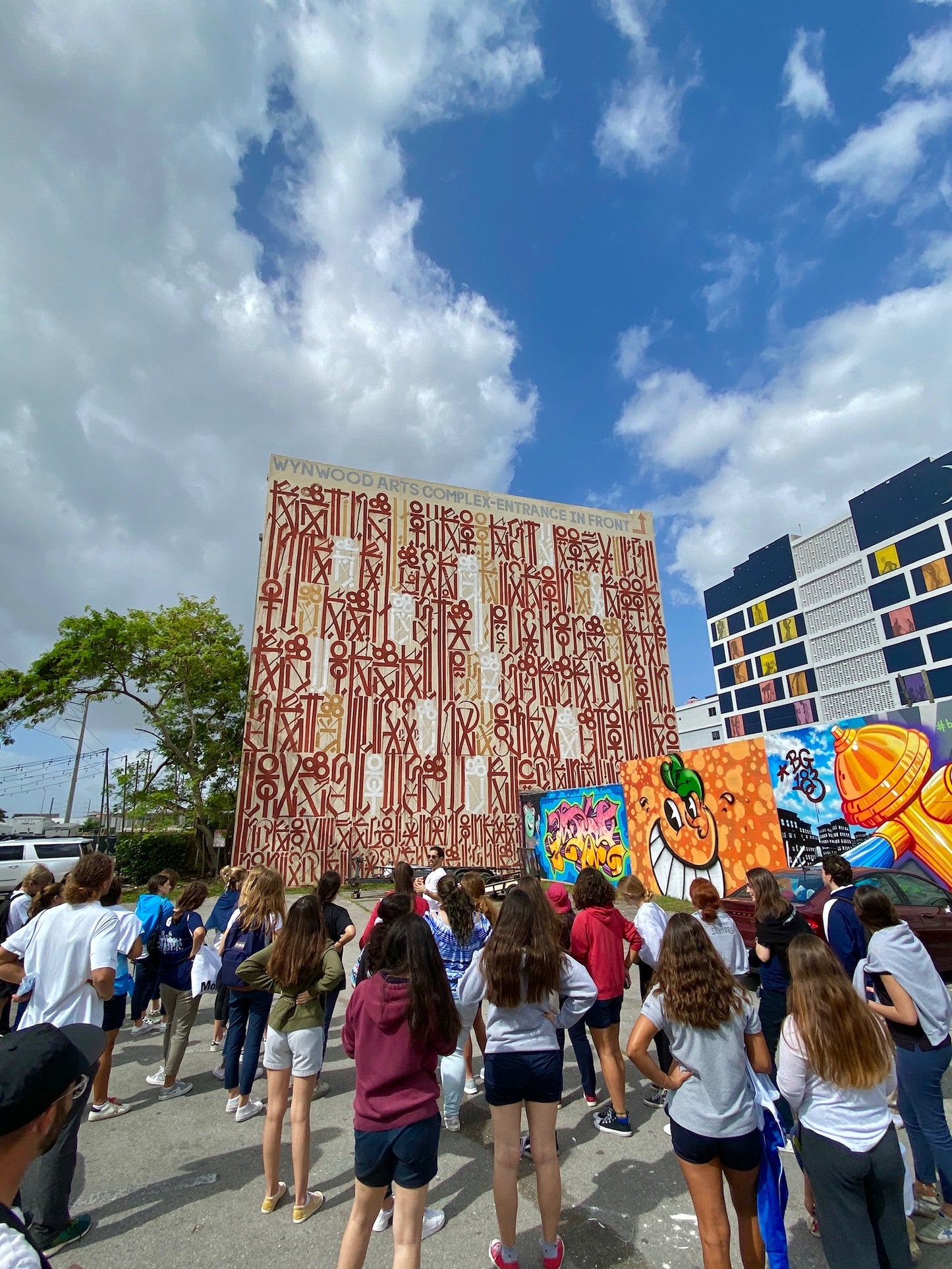 Wynwood - MASSIVE CREW - Walking Street Art Tour - 20+ Guests